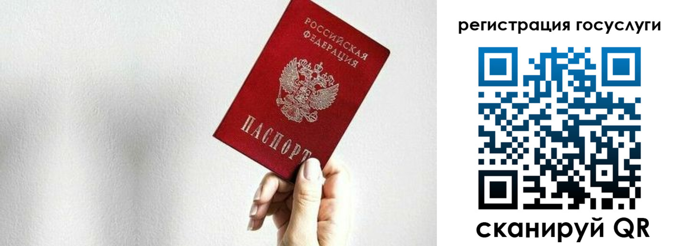 прописка гарантия в Темрюке
